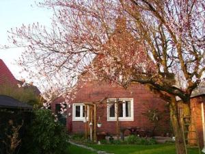 Zahrada ubytování Ferienhaus In Norden Mit Großem Garten