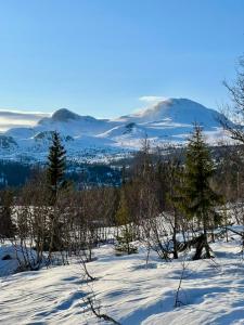 einen schneebedeckten Hügel mit Bäumen und Bergen im Hintergrund in der Unterkunft Brand new cabin on the sunny side of Gaustatoppen with a beautiful view in Tuddal + 62 Fotos