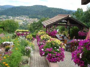 einen Garten mit bunten Blumen und einem Pavillon in der Unterkunft Das Gîte Fleuri Mit Einer Herrlichen Aussicht in Hazelbourg