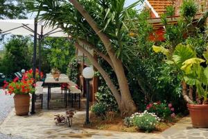 een tafel en stoelen onder een parasol in een tuin bij Suite Orchidea Seaside and Pool in La Caduta +11 foto's