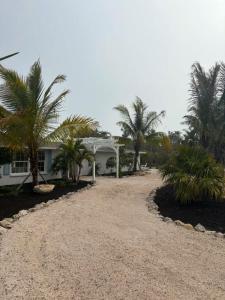 una casa bianca con palme di fronte di Casa Poinsetta a Longbeach
