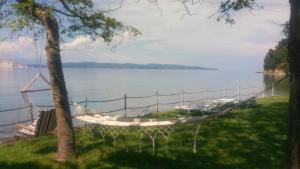 - un hamac sur la rive d'un lac dans l'établissement Ferienhaus Simos In Paleokastro, à Edipsos