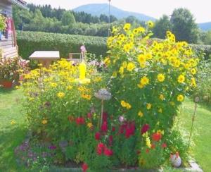 - un jardin avec des fleurs colorées dans une cour dans l'établissement Appartement Mit Terrasse, Garten Und Grill, à Böbrach