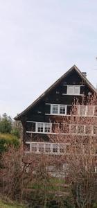una casa negra con ventanas blancas en el lateral. en Ferien In Der Vogelherd, en Wolfhalden 