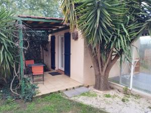 a patio with a tree and a chair next to a house at Studio Le Yuka entre Mer et Montagne in Villelongue-dels-Monts +10 photos