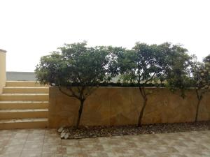 two trees in front of a stone wall at Wunderschönes Ferienhaus In Marchesana in Terme Vigliatore