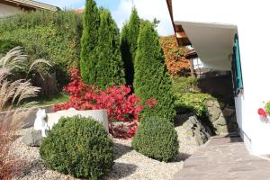 un jardin avec des arbres à feuilles persistantes et des fleurs roses dans l'établissement Abendsonne, à Lechbruck am See