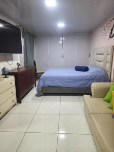 ein Schlafzimmer mit einem Bett, einem Fernseher und einer Couch in der Unterkunft Apartamento en barrio noble in Pereira