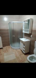 a bathroom with a glass shower and a toilet at Apartament LUXURY Cluj in Floreşti