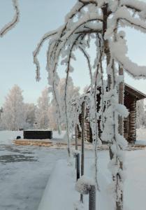 a tree covered in snow next to a building at Villa Kontio in Rovaniemi
