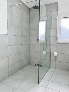 a shower with a glass door in a bathroom at Haus Ambiente - 4 Fewos in Bad Säckingen