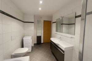 Un baño con lavabo, inodoro y espejo. en Ferienwohnung Eichhorner, en Außervillgraten