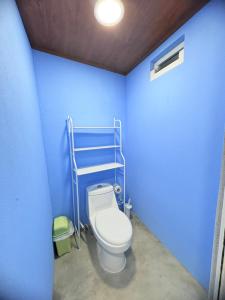 a blue bathroom with a toilet and a blue wall at Casa Azucena in Flores +30 photos