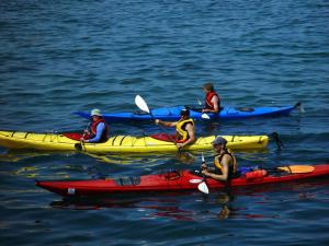 Hosté ubytování Centre nautique de l'Istorlet + 18 fotografií