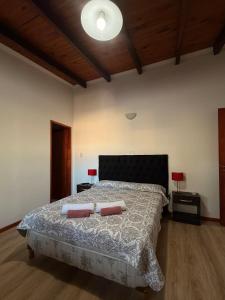 a bedroom with a large bed with two pillows on it at Babela 2 in Concordia