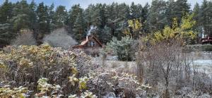 une maison au milieu d'un champ avec des arbres dans l'établissement Ciechówka, à Wilimy