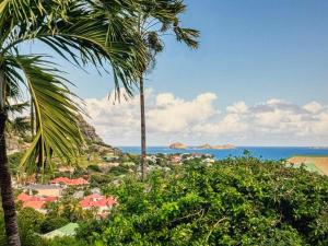ein Blick auf das Meer von einem Resort mit Palmen in der Unterkunft Sunset crest in Gustavia + 7 Fotos