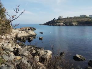 Naturlandskabet i nærheden af lejligheden