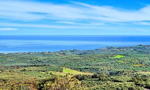 Příroda nedaleko prázdninového domu