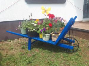 Zahrada ubytování Gemütliche Ferienwohnung Mit Toller Aussicht + 8 fotografií