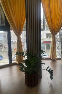 Billede fra billedgalleriet på Staša Apartmani i Novi Pazar