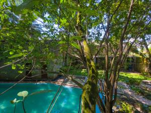 Piscina de la sau aproape de The Tranquil