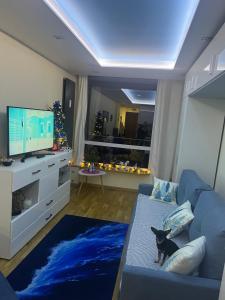 a living room with a blue couch with a dog sitting on it at Apartament NIEBO Ustroń in Ustroń