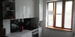 Kuchyň nebo kuchyňský kout v ubytování Near Buiucani