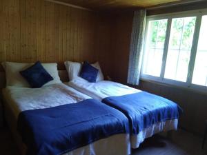 ein Schlafzimmer mit zwei Betten mit blauer Bettwäsche und einem Fenster in der Unterkunft Ferien Cottage Flüehblüemli in Stechelberg
