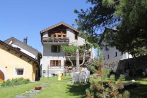 Κήπος έξω από το Chesa Madragena +1 φωτογραφίες