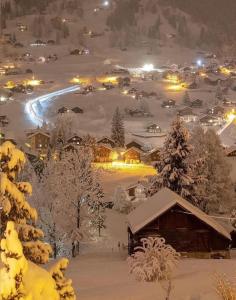 a village covered in snow at night with lights at Chalet Gletscherfloh in Grindelwald +26 photos