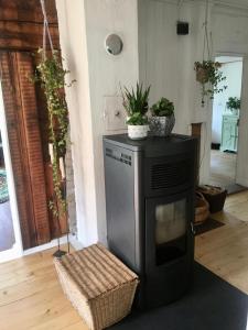 a television sitting in a room with potted plants at Casa Marili, Das Charmante Ferienhaus in Seewis