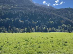 a green field with a mountain in the background at Appartement charmant au pied des pistes avec balcon et parking - FR-1-692-93 in La Chapelle-dʼAbondance