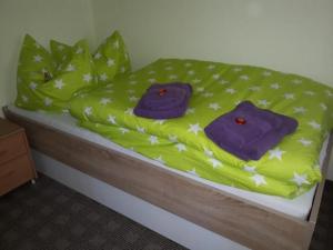 ein Bett mit grünen Laken und lila Kleidung darauf in der Unterkunft Ferienhaus "Lilienstein" in Prossen
