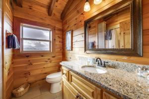 a bathroom with a toilet and a sink and a mirror at Elevated Cabin Bordering Smoky Mountain Nat'l Park in Bryson City +36 photos