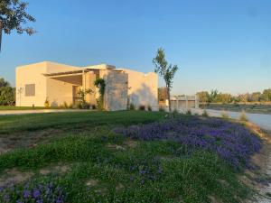 ein Feld lila Blumen vor einem Haus in der Unterkunft Villa Flora in Latiano