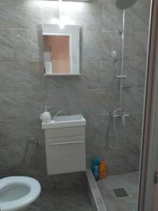 a bathroom with a toilet and a sink and a shower at Spital 1 camera etaj 2 in Târgu-Mureş