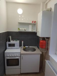 a small kitchen with a sink and a microwave at Spital 1 camera etaj 2 in Târgu-Mureş
