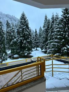 a yellow bench on a balcony with snow covered trees at Montana Inn Slănic Moldova in Slănic-Moldova