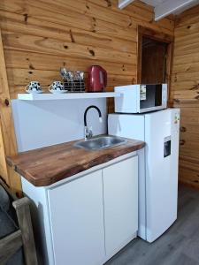 Villa Ciudad ParqueDepto Cabañero Lumai的带水槽和冰箱的厨房