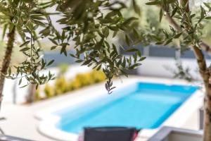 Bazén v ubytování Komplex Oliva Mit Pool Und Großem Garten nebo v jeho okolí + 33 fotografií