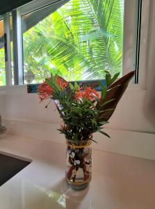 Gallery image of Finca Cacao in Pavones