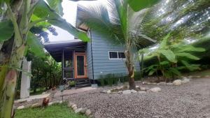 Gallery image of Finca Cacao in Pavones +27 photos