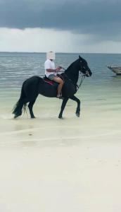 une personne faisant de l'équitation sur la plage dans l'établissement Beach Front Villa Ocean View Zanzibar, à Pongwe