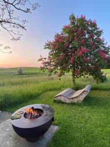 eine Feuerstelle im Gras neben einem Baum in der Unterkunft Bauernhof Sal in Bütschwil + 22 Fotos