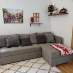 - un canapé brun dans le salon dans l'établissement Apartman na Bjelasnici- Srebrena lisica, à Bjelašnica