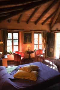 Schlafzimmer mit einem Bett, Stühlen und Fenstern in der Unterkunft Ferienhaus für 2 Personen ca 56 qm in Alajar, Andalusien Provinz Huelva in Alájar