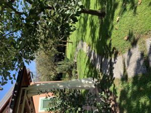 Zahrada ubytování Villa Mandolata