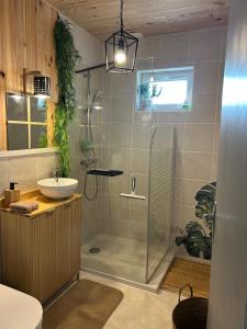 マランにあるLa maison du bonheurのシャワーと洗面台付きのバスルーム