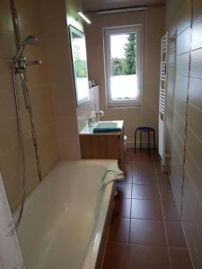 ein Badezimmer mit Badewanne, Waschbecken und Dusche in der Unterkunft Appartement in Weitersglashütte mit Grill und Garten - b48494 in Eibenstock